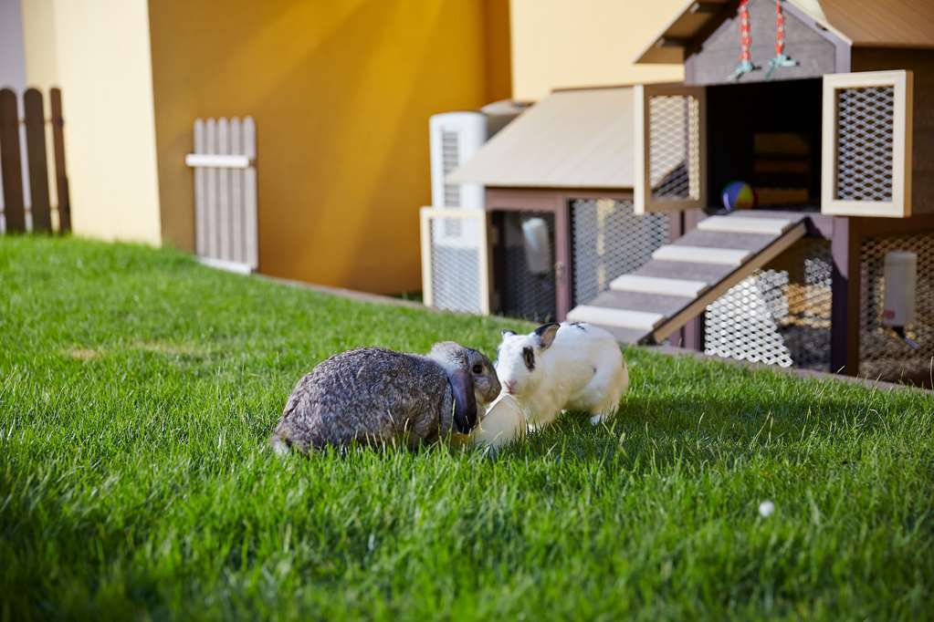 Village Residence Robertson Quay By Far East Hospitality Σιγκαπούρη Εξωτερικό φωτογραφία